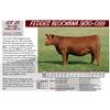 Image 1 : FEDDES BLOCKANA 9130-099