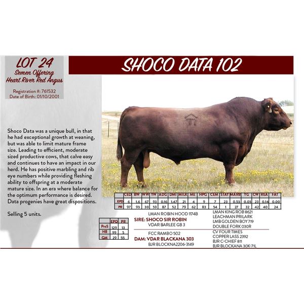 SHOCO DATA 102