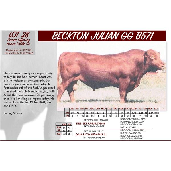 BECKTON JULIAN GG B571