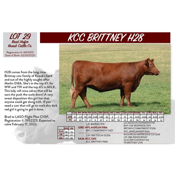 KCC BRITTNEY H28