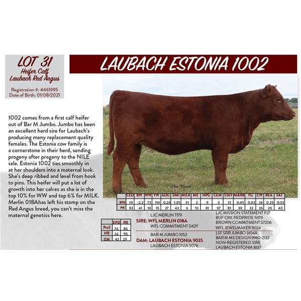 LAUBACH ESTONIA 1002