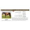 Image 1 : SUGARS BLACK BEAUTY