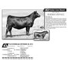 Image 1 : TLR EVERELDA ENTENSE KL B12