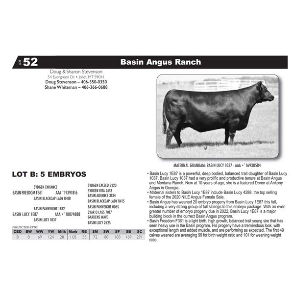 LOT B: 5 EMBRYOS