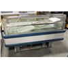 Image 1 : HUSSMANN REACH IN FREEZER