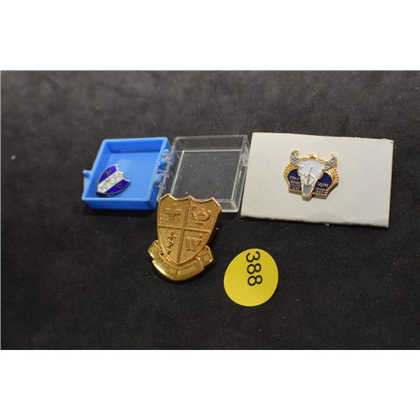 Nursing pin & sterling pin