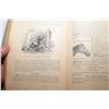 Image 4 : Antique 1800's Veterinary guide (poor cover) 1138 pages