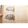 Image 7 : Antique 1800's Veterinary guide (poor cover) 1138 pages