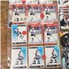 Image 3 : huge Wayne Gretzkey hockey card lot