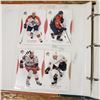 Image 12 : small binder with 160+ SP Authentic hockey cards mostly modern