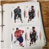 Image 13 : small binder with 160+ SP Authentic hockey cards mostly modern
