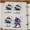 Image 39 : small binder with 160+ SP Authentic hockey cards mostly modern