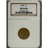 Image 1 : 1876 1C Brown MS65 NGC