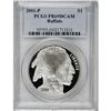 Image 1 : 2001-P $1 Buffalo Silver Dollar Deep Cameo PR69 PCGS
