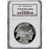 Image 3 : 2001-P $1 Buffalo Silver Dollar Deep Cameo PR69 NGC
