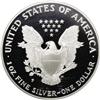 Image 2 : 1995-P $1 Silver Eagle Deep Cameo PR70 NGC