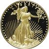 2001-W G$50 One-Ounce Gold Eagle Deep Cameo PR70 ICG