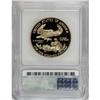 Image 2 : 2001-W G$50 One-Ounce Gold Eagle Deep Cameo PR70 ICG