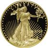 Image 1 : 2006-W G$25 Half-Ounce Gold Deep Cameo PR70 NGC