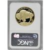 Image 2 : 2006-W $50 Buffalo One-Ounce Gold Deep Cameo PR69 NGC
