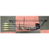 Image 1 : GOLDEN EAGLE YOUTH COMPOUND BOW AND ARROWS