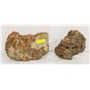 2 PIECES OF GENUINE DECOR LAVA ROCK