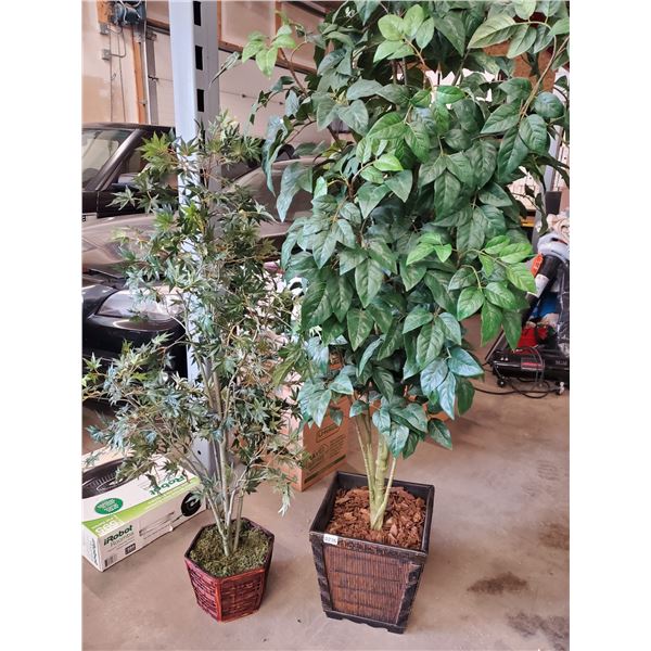 2 Large Silk Trees