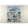 Image 1 : USPS MINT SHEET OF 15 X .33 CENT UNUSED ARCTIC
