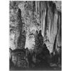 Image 1 : Adams - Carlsbad Caverns National Park New Mexico 4