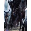 Image 2 : KIT HARINGTON SIGNED GAME OF THRONES 16X20 PHOTO (RADTKE COA)