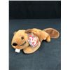 Image 1 : TY BEANIE BABY "BUCKY THE BEAVER" RETIRED 1995 PLUSH TOY