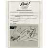 Image 4 : Beach Boys Signed Guitar