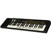 Image 1 : Doors Ray Manzarek Signed Keyboard