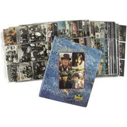 Beatle 1993 and 1996 Trading Card Sets