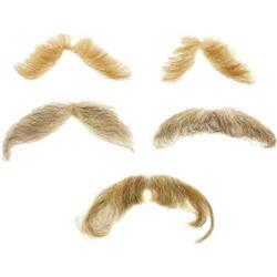 Buddy Ebsen's "The Beverly Hillbillies" Moustach