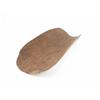 Image 2 : AN ETHNOGRAPHIC QUEENSLAND BOWL (coolamon), o