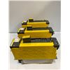 Image 4 : (3) Fanuc #A06B-6124-H209 Servo Amplifier Module
