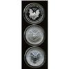 Image 2 : 2006-W $1 Silver Eagle PR Deep Cameo