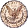 Image 2 : 1878 8TF $1 PR64 NGC