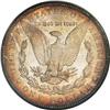 Image 2 : 1904 $1 MS65 PCGS