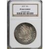 Image 3 : 1879 $1 PR66 Cameo NGC