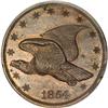 Image 1 : 1854 P1C Flying Eagle Cent--Double
