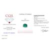 Image 7 : Oval Cut 0.86ct Natural Emerald