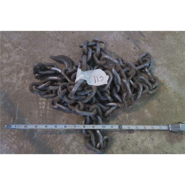 Heavy Chain and Hook