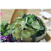 Image 2 : Artificial Flowers, Full box of Jute Rope, & 60th Birthday Party Decorations