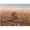 Image 1 : Waterfowl Hunt for 8 - Caprock Waterfowl