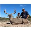 Image 1 : Whitetail Hunt for 2 - KickBACK Ranch