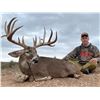 Image 3 : Whitetail Hunt for 2 - KickBACK Ranch