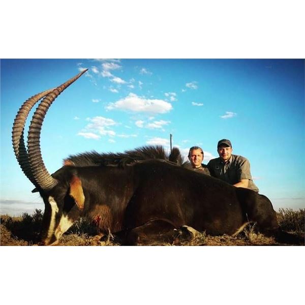 2 Sable Bulls for 2 Hunters - Marupa Safaris
