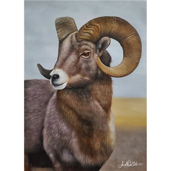 Commisioned Painting plus European Mount (Desert Sheep) - DuCote Art  and Texas Parks & Wildlife Dep